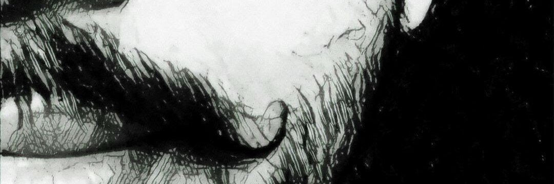 NirvK's profile banner image