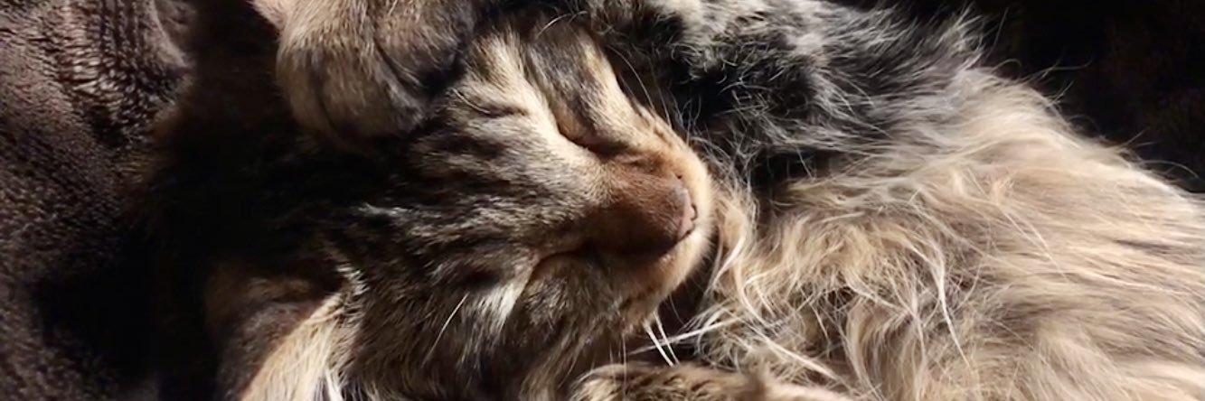 ジョー☀️中四国の映像屋さん📸٩( ᐛ )و banner