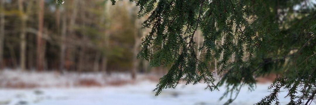ChrisCock_XL's profile banner image