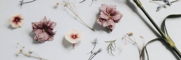 BefuddledB Profile Banner