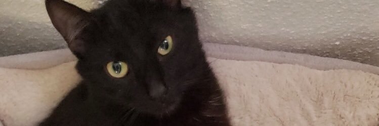 NotMuch0n's profile banner image
