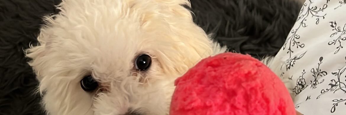 kadlecovaaaaa's profile banner image