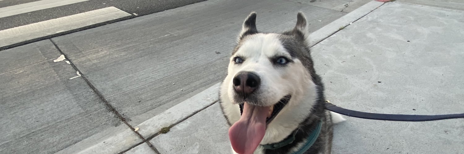 wantafonta2's profile banner image