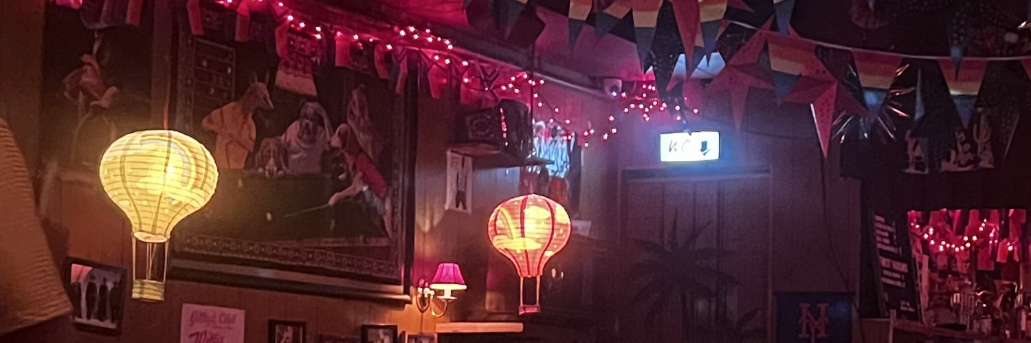 ayyhanni's profile banner image