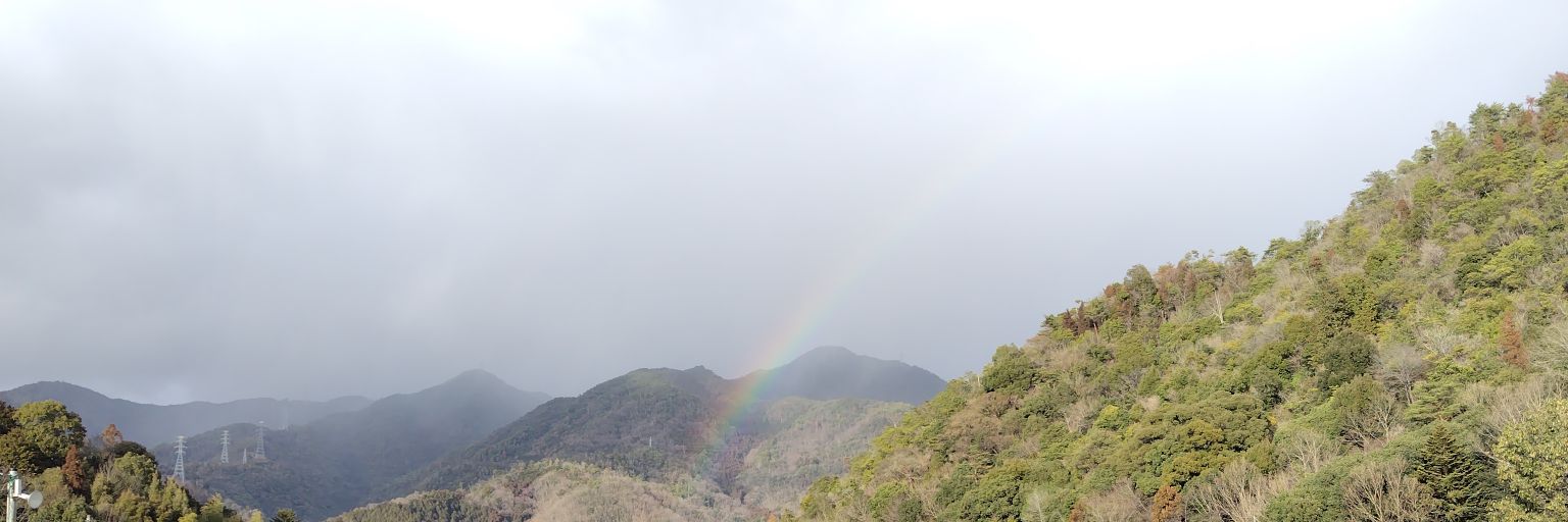 mai891926's profile banner image