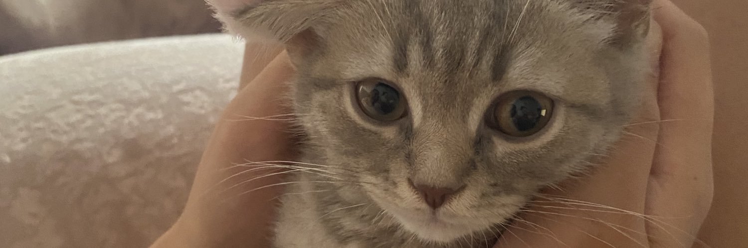mizginn___'s profile banner image
