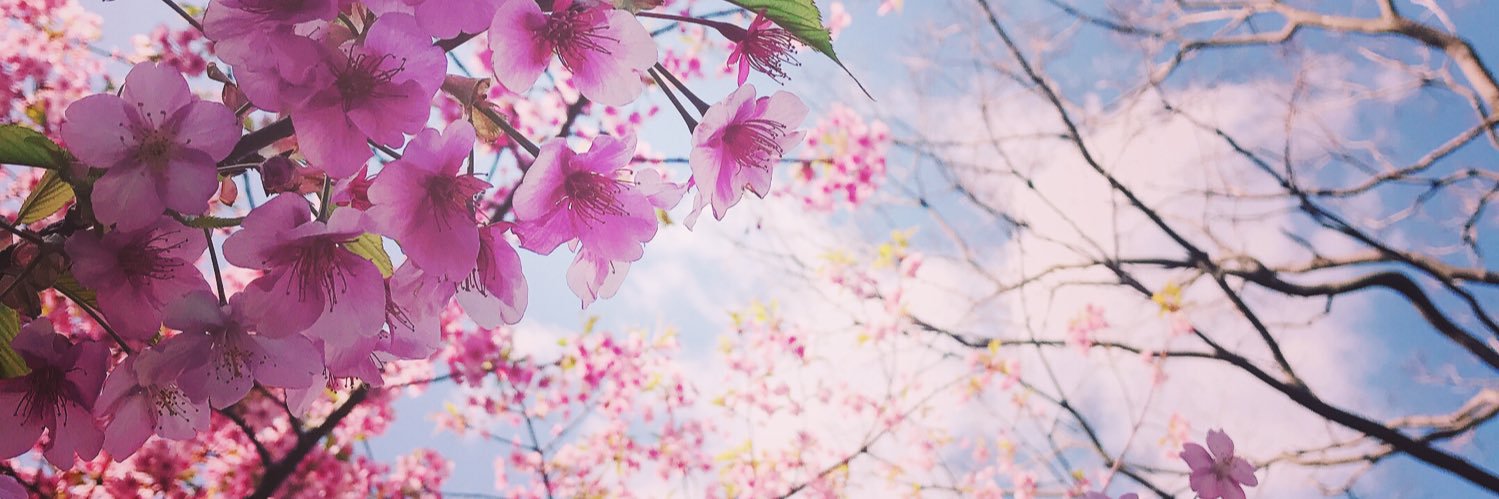 s_t922's profile banner image