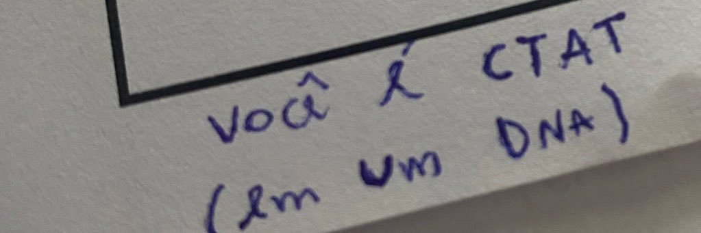 taty girl ™ banner