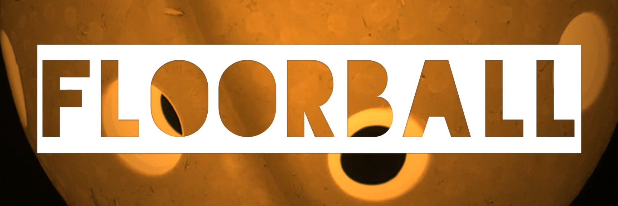 floorballJr's profile banner image