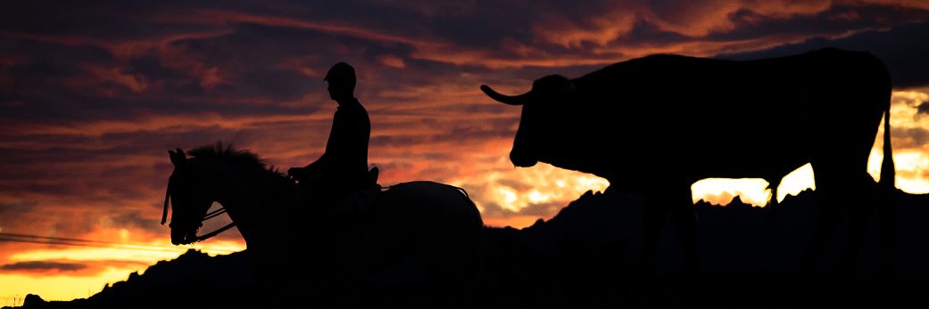 Jose luis Barral banner