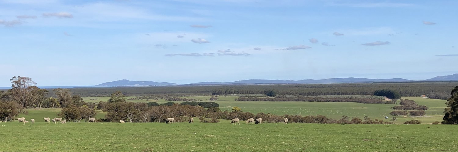 Mark Plunkett banner