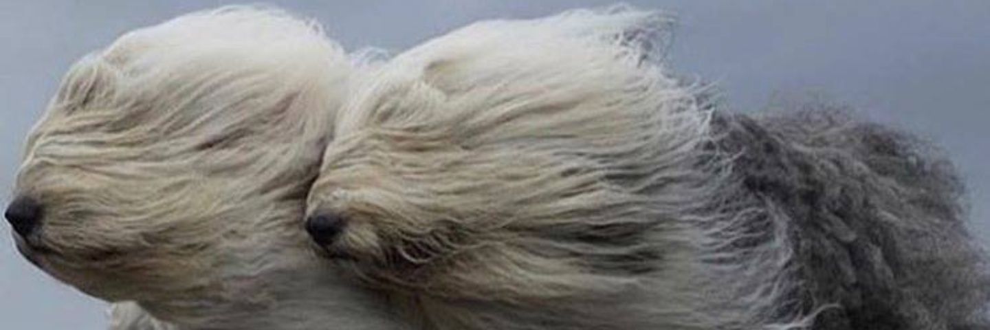 esande73's profile banner image