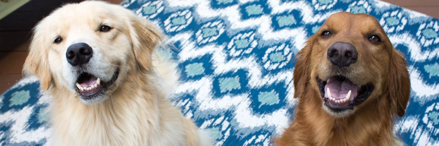 sarahjdemeter's profile banner image