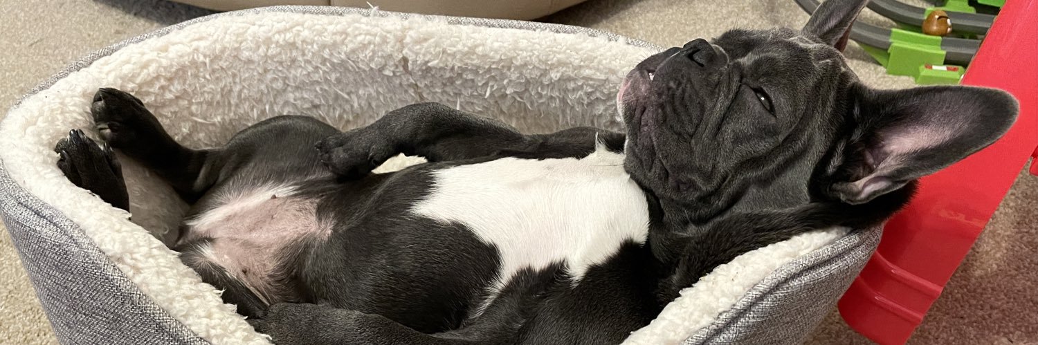 Craig Russell banner