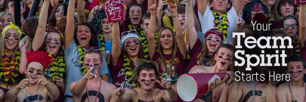 SpiritLine Profile Banner