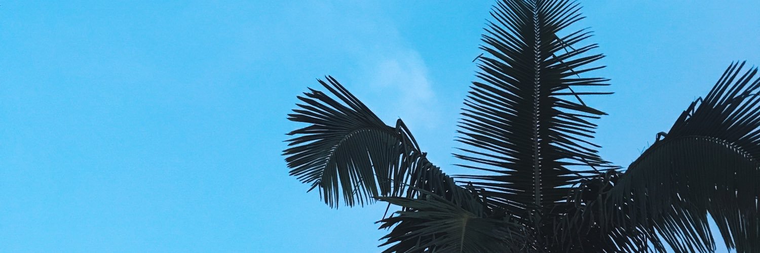 carolinechasee's profile banner image