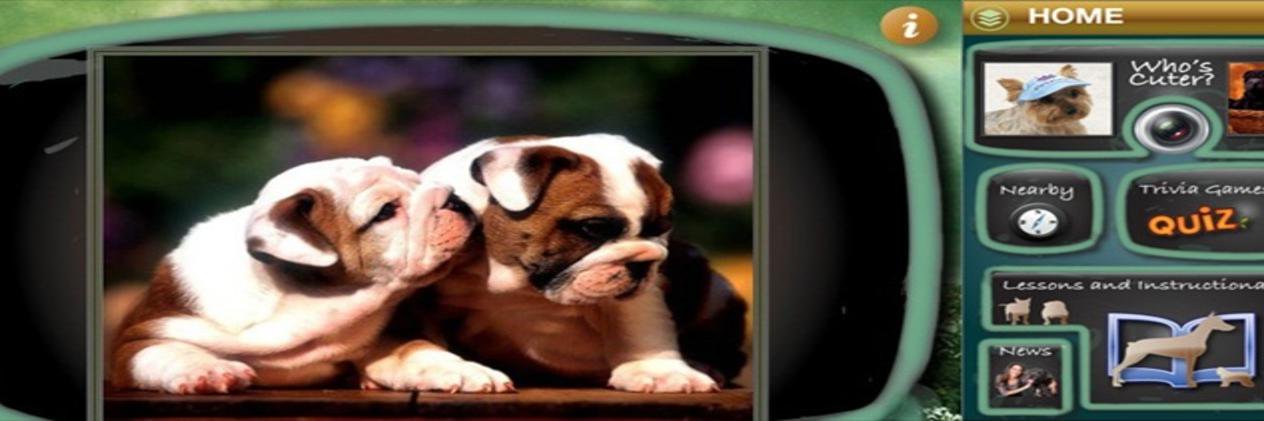 dogfunapp's profile banner image