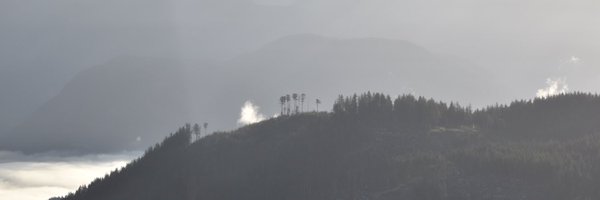 JWagstaffe Profile Banner