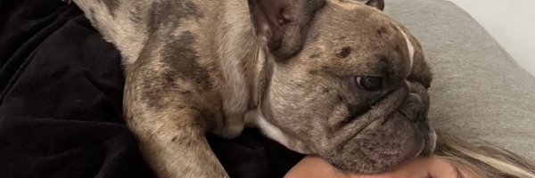 valepetracca Profile Banner