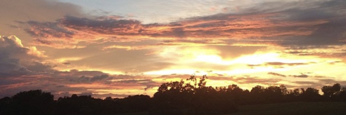 AustinnnNobleeee banner