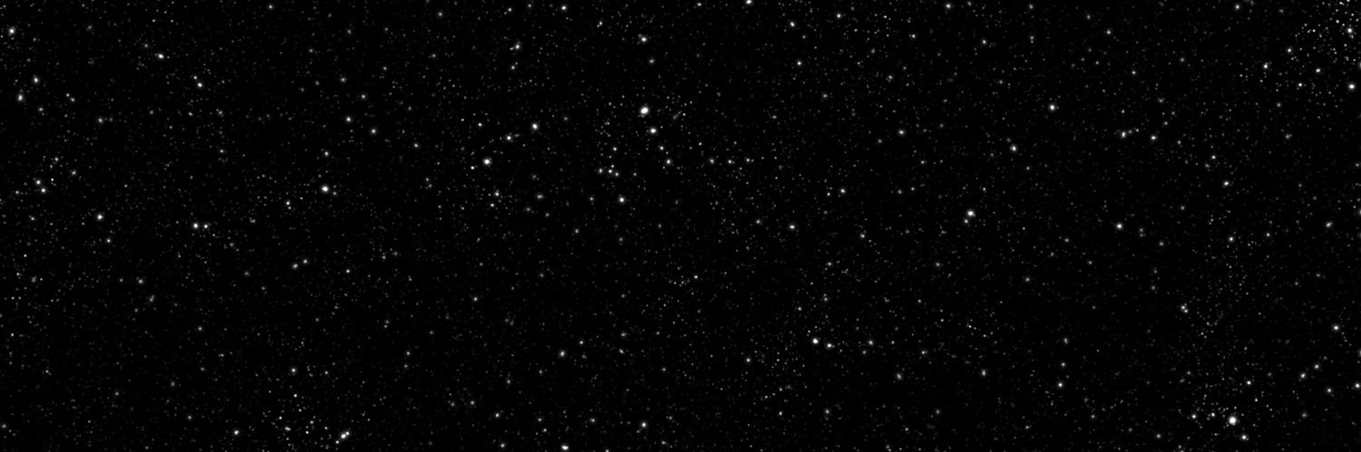 finch___p's profile banner image