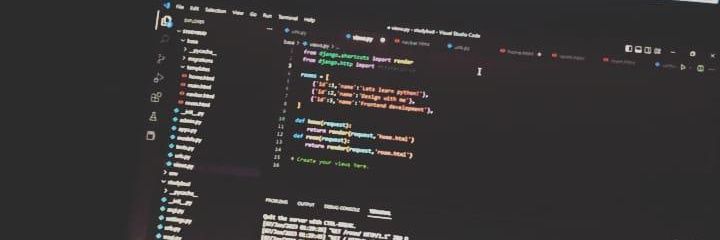 Francis X Mumia banner