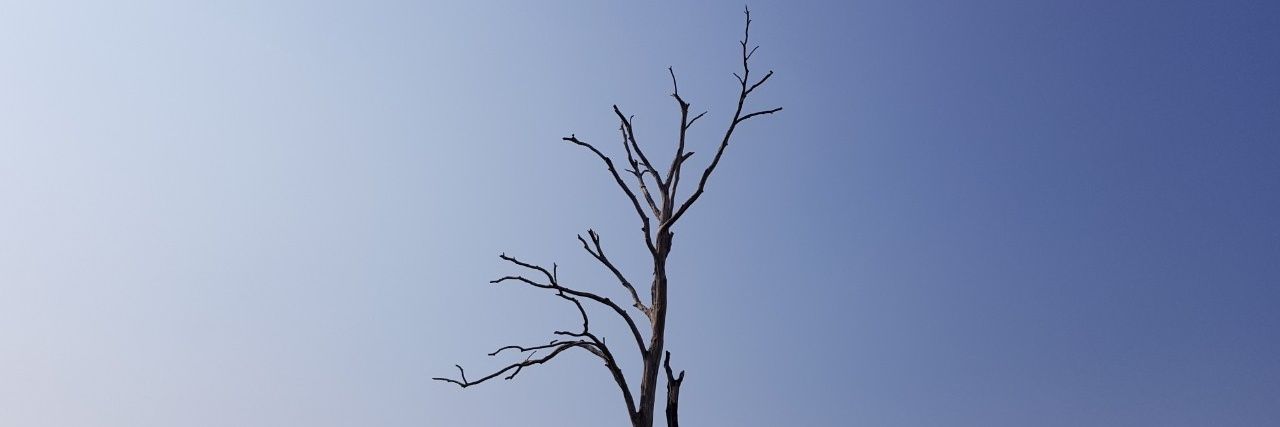 EnigmaBelief's profile banner image