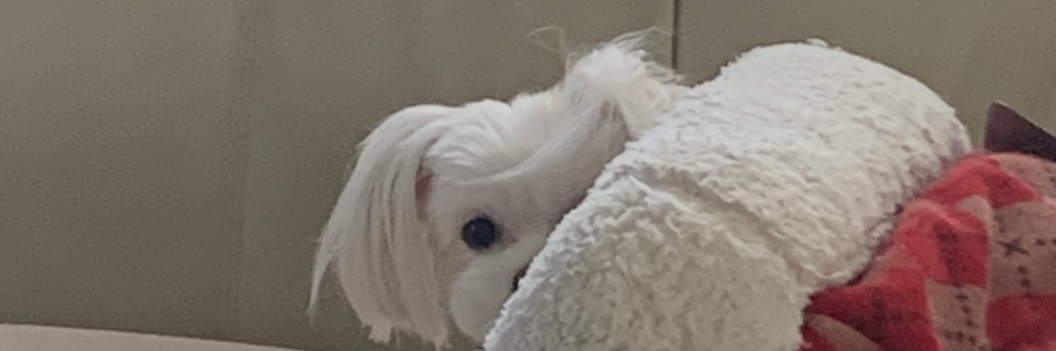 鉄万珍あとむ！ banner