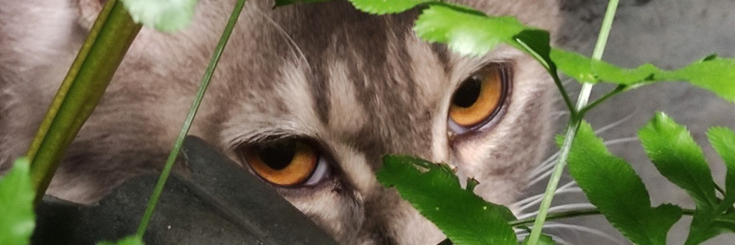 ELWNTYSPRKS's profile banner image