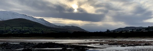 NewWaveWildProj Profile Banner