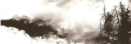 alsodoso's profile banner image