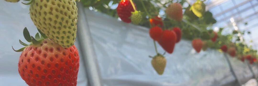 kappa531's profile banner image