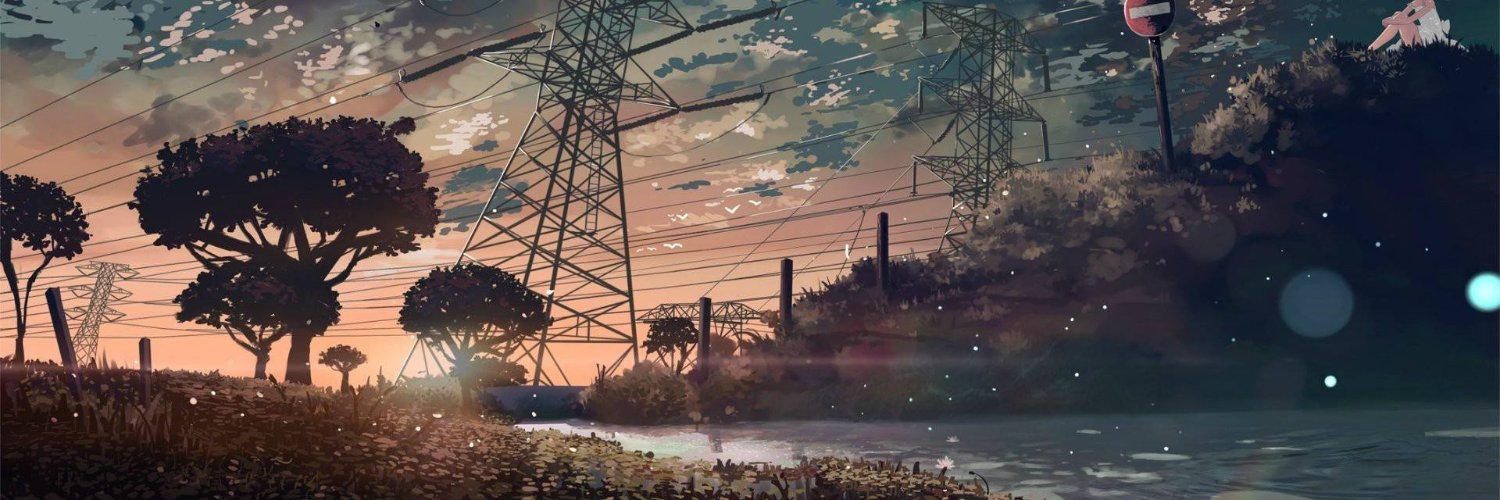 lirulinp's profile banner image