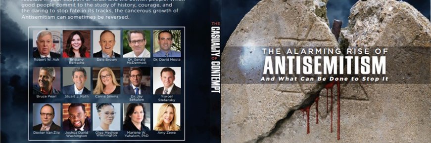 Amy L Zewe banner