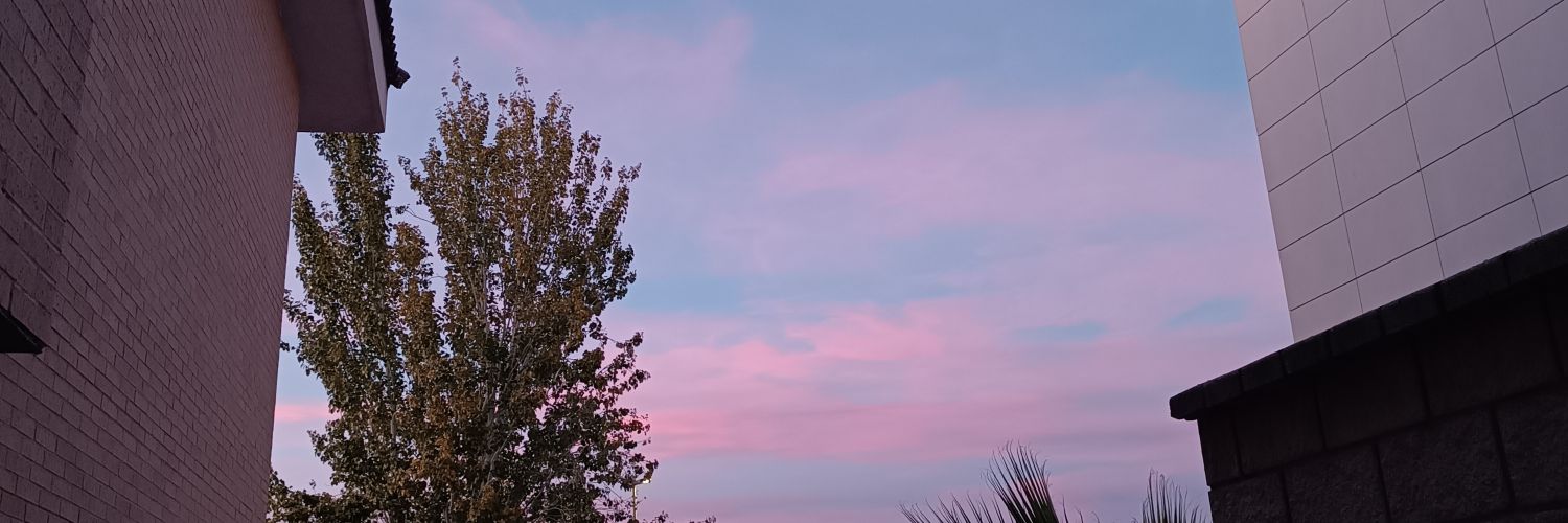 carmen ⚡ banner