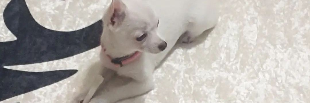 Bernushhh's profile banner image