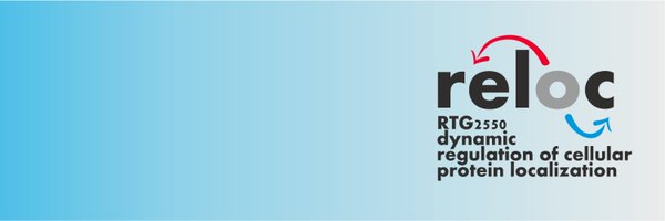 rtg_reloc Profile Banner