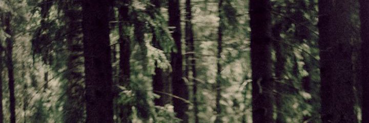 _Velvestel_'s profile banner image