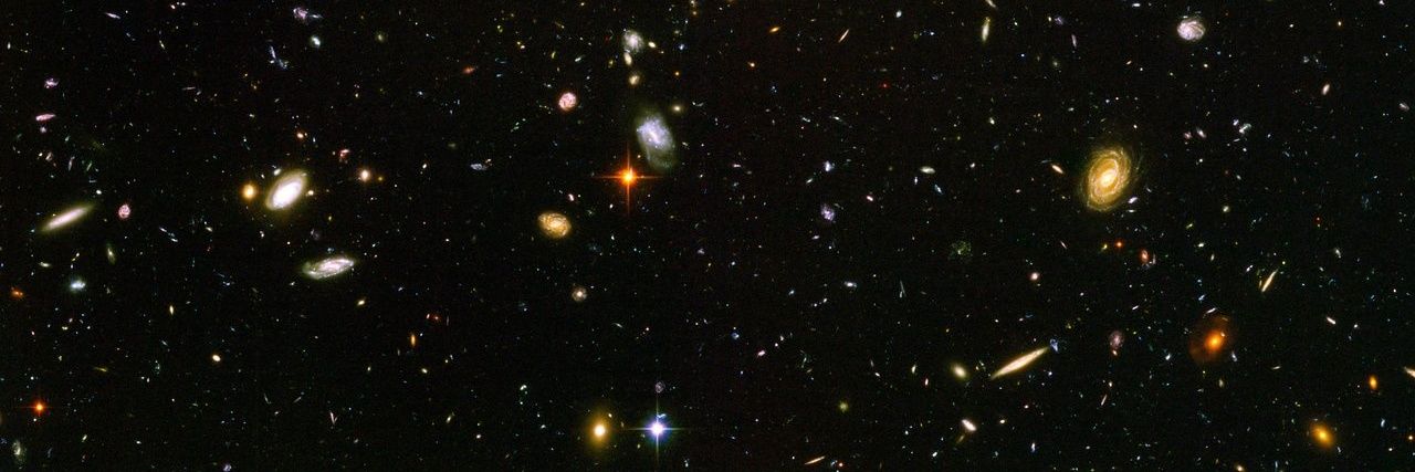 picapauusad's profile banner image