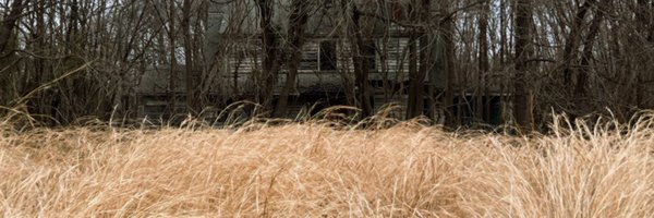 ummrottt Profile Banner