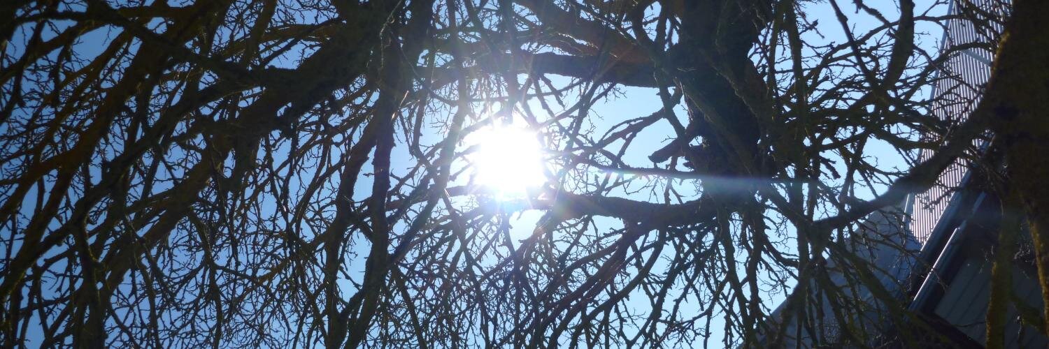 openskyqigong's profile banner image