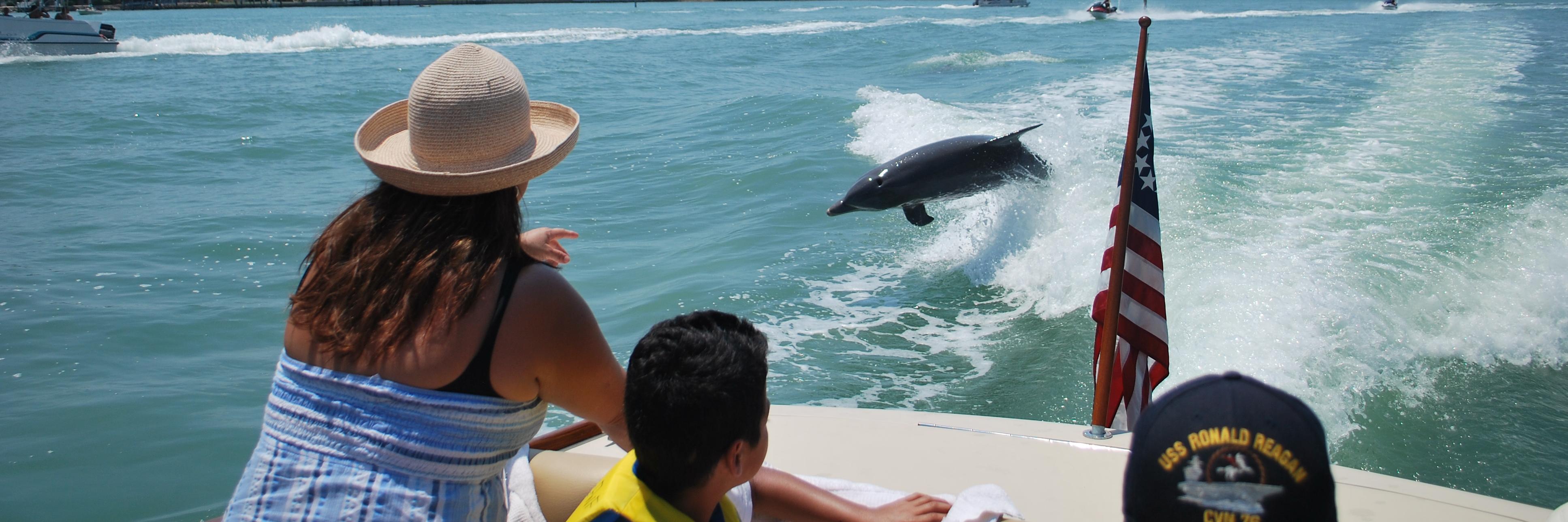 Freedom Waters banner