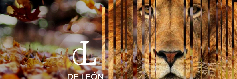 AnaD_Leon's profile banner image