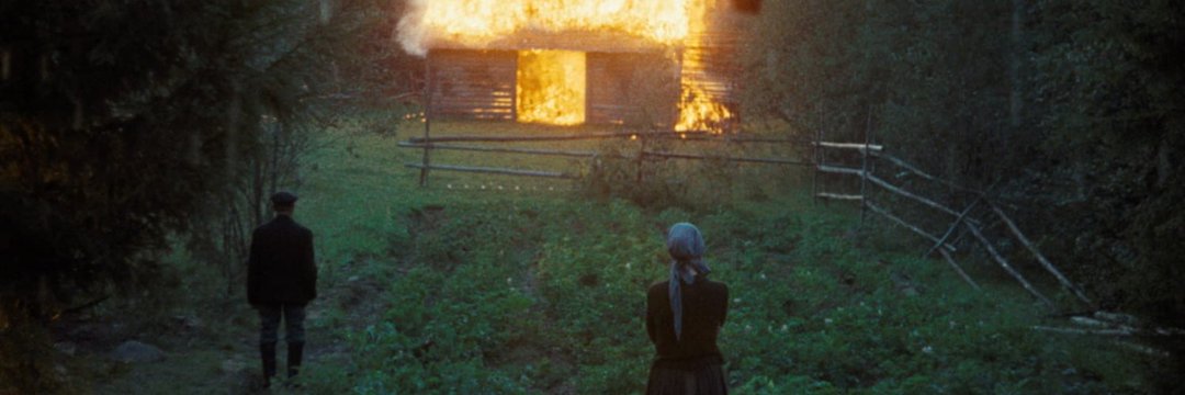 Eu valho muito sim. 🧙‍♂️ banner