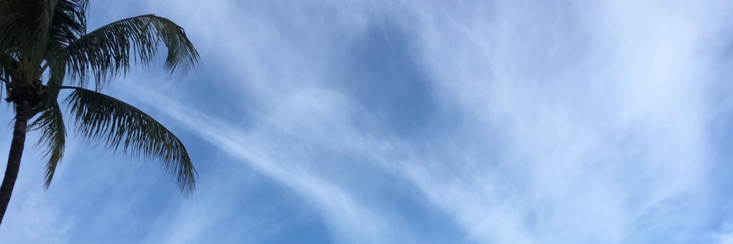 acidbummer's profile banner image