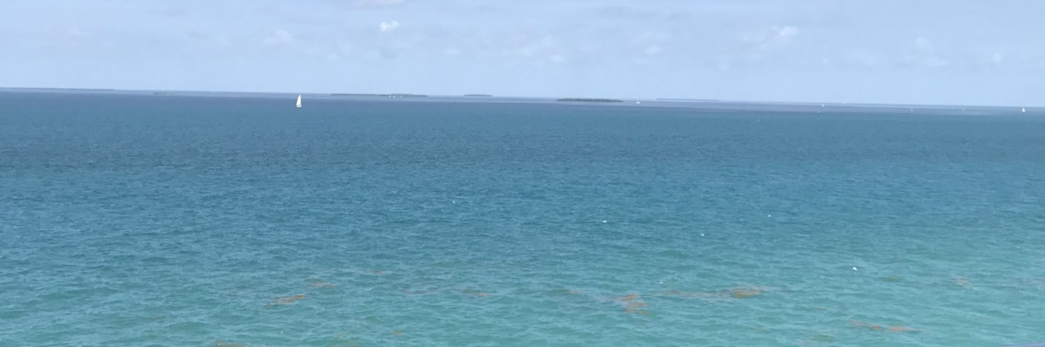 Whitesideeeee's profile banner image