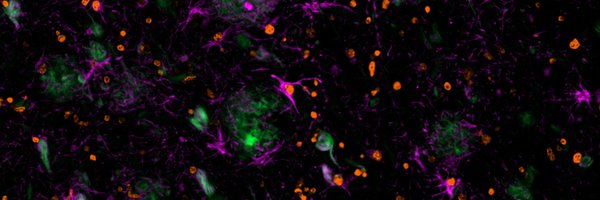 KauferLab Profile Banner