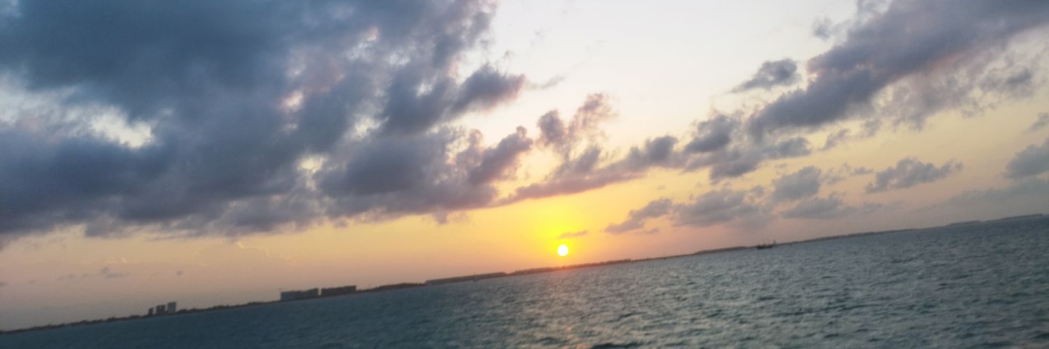 megapaco's profile banner image