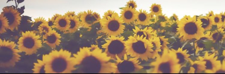 Courtneyhuff95's profile banner image
