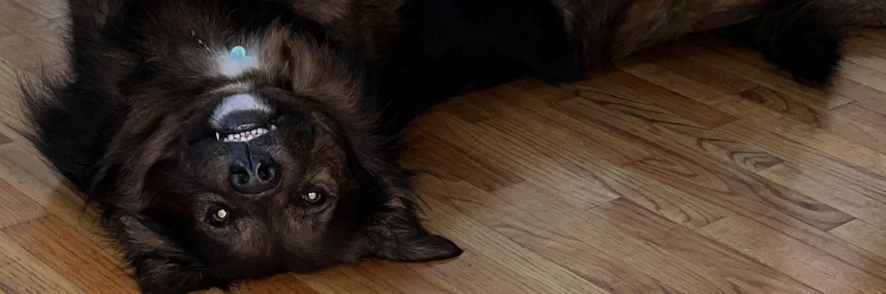 mackmariee's profile banner image